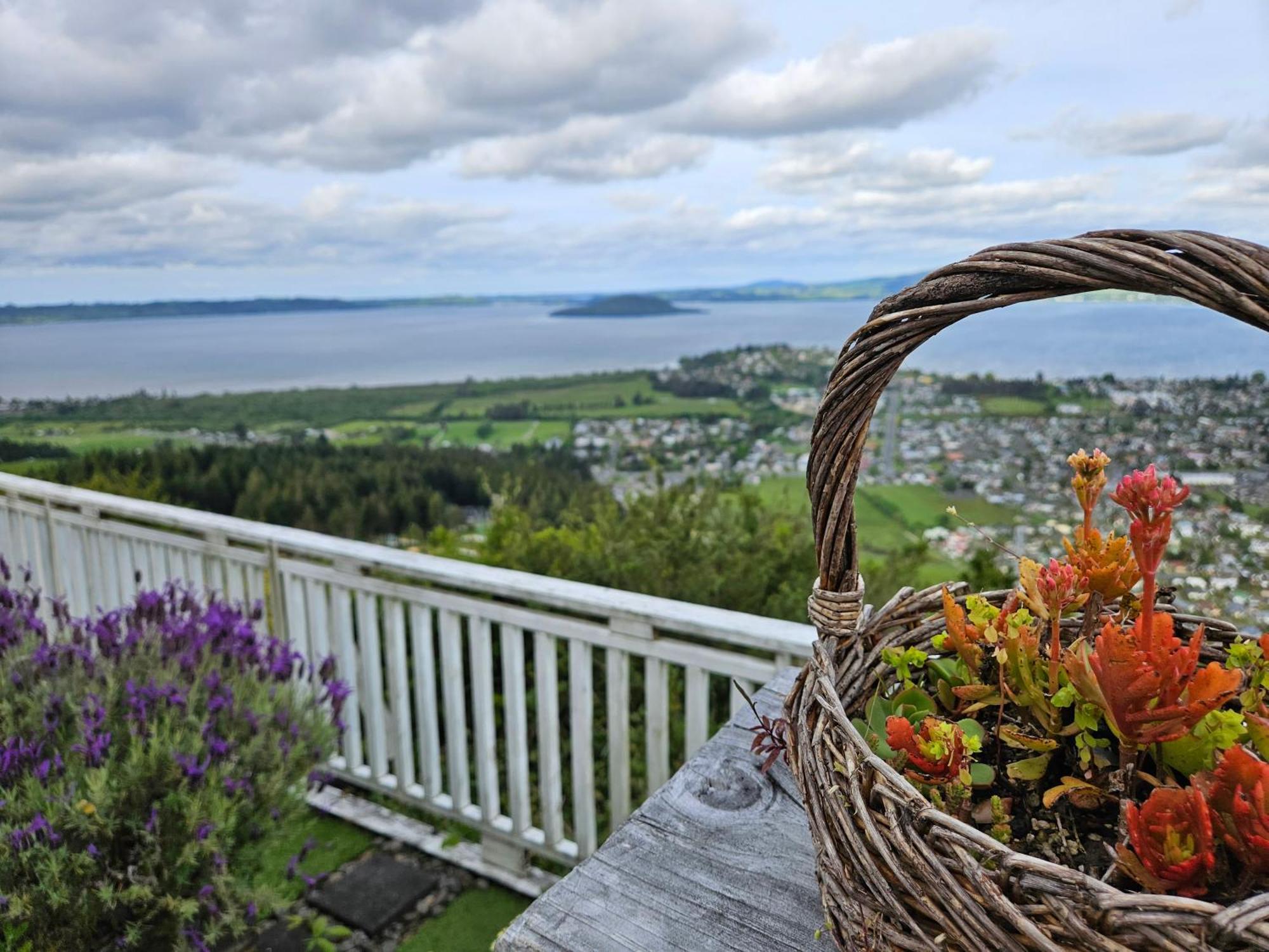 Aorangi Mountain Lodge ロトルア エクステリア 写真