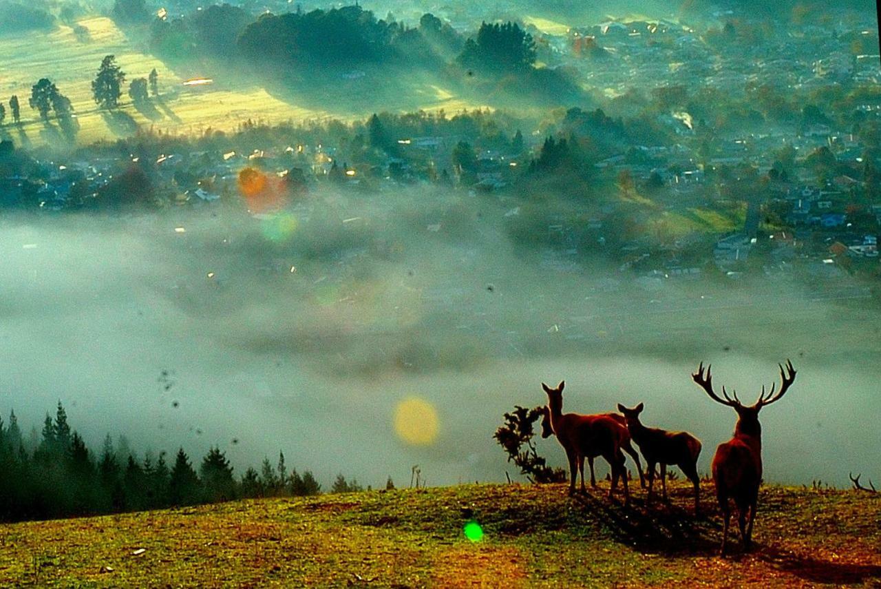 Aorangi Mountain Lodge ロトルア エクステリア 写真