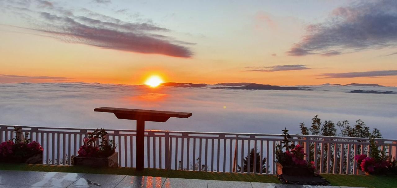 Aorangi Mountain Lodge ロトルア エクステリア 写真