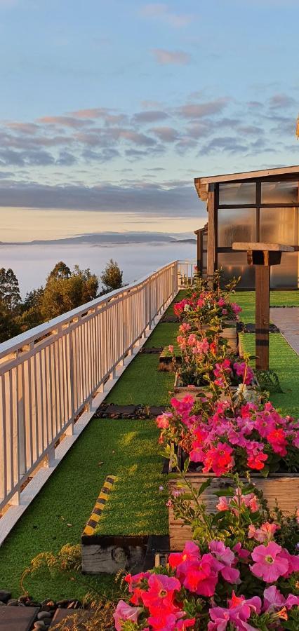 Aorangi Mountain Lodge ロトルア エクステリア 写真